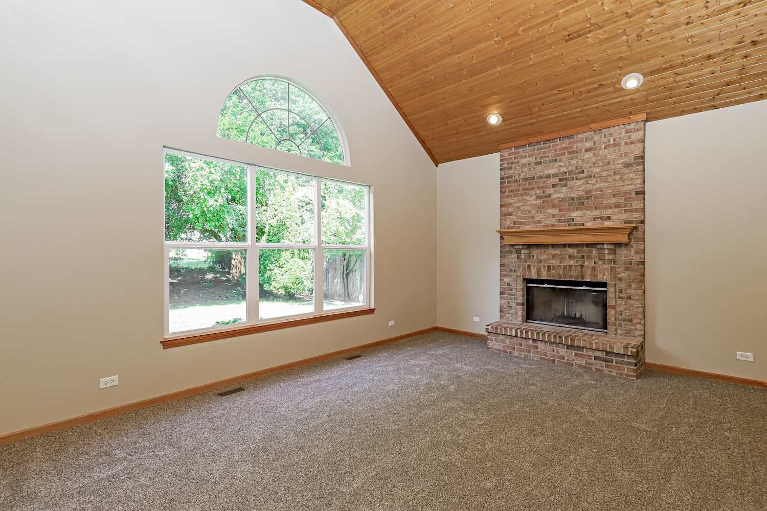 13250 Red Star Dr photo 5