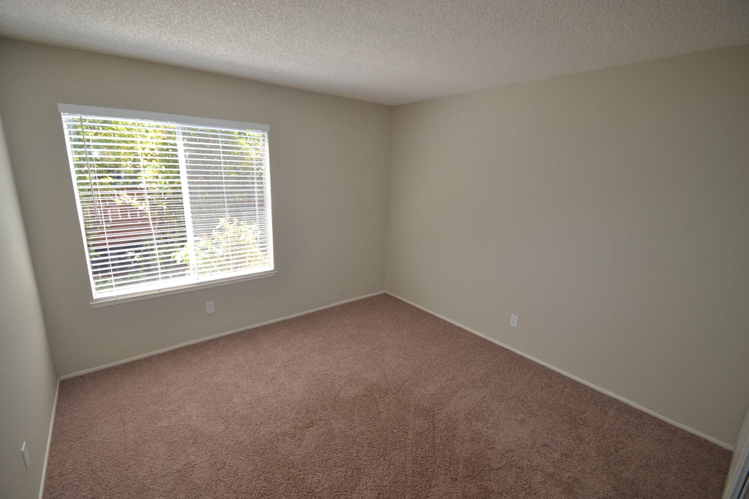 3212 Cinnabar Ct photo 5