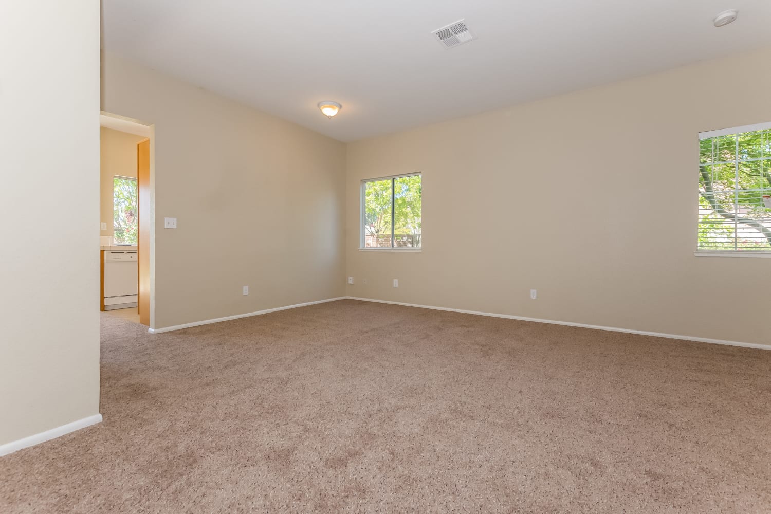 8710 Clear Star Ct photo 5