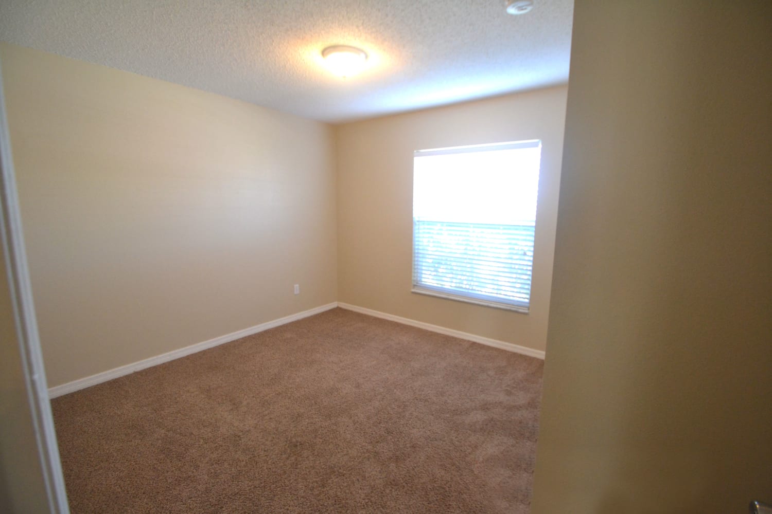 727 Versailles Ln photo 4