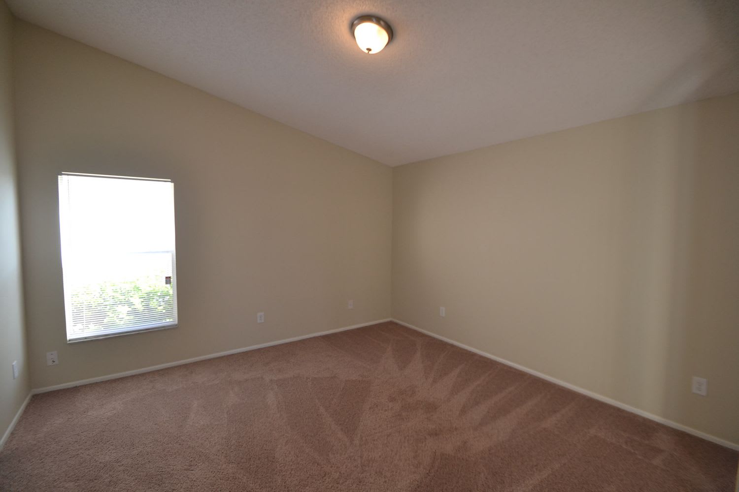 12535 Newfield Dr photo 5