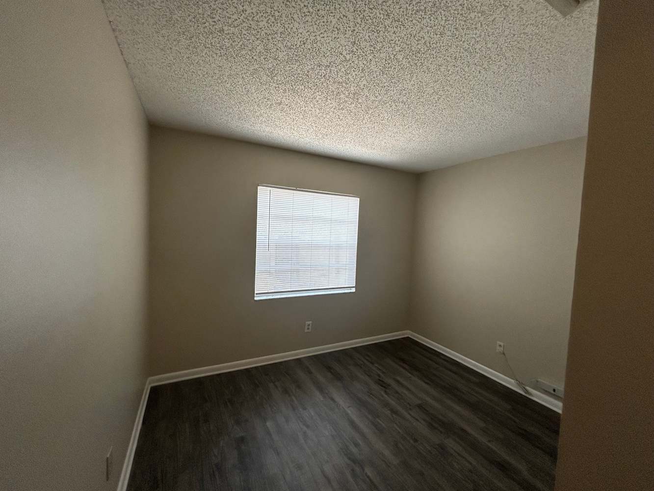 4038 Forecast Dr photo 5