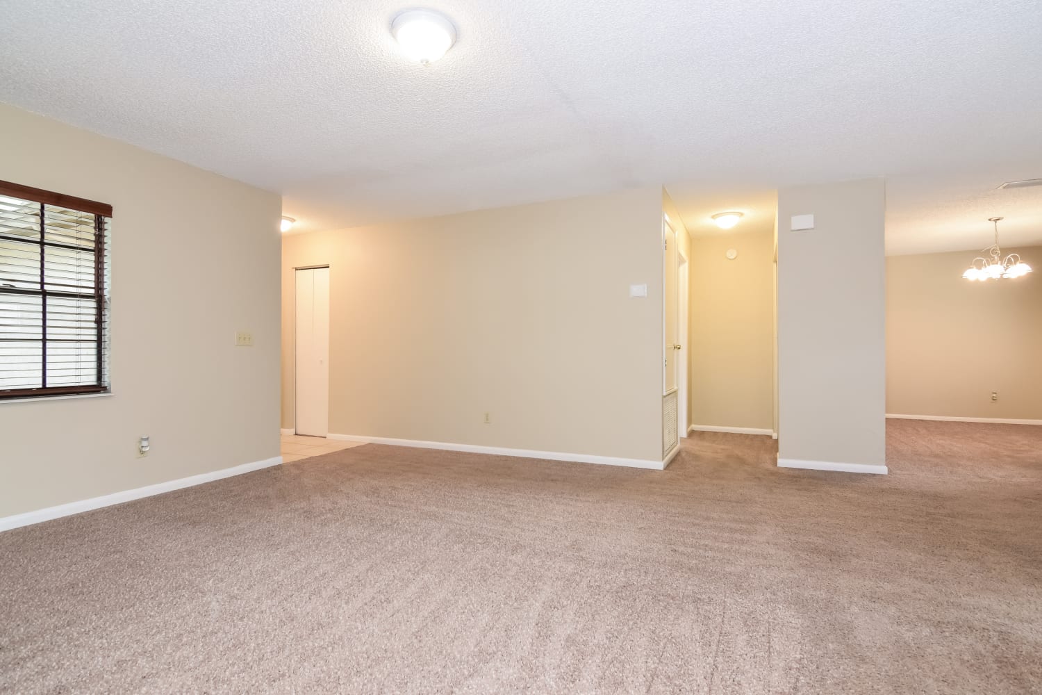 515 Wynnwood Dr photo 3