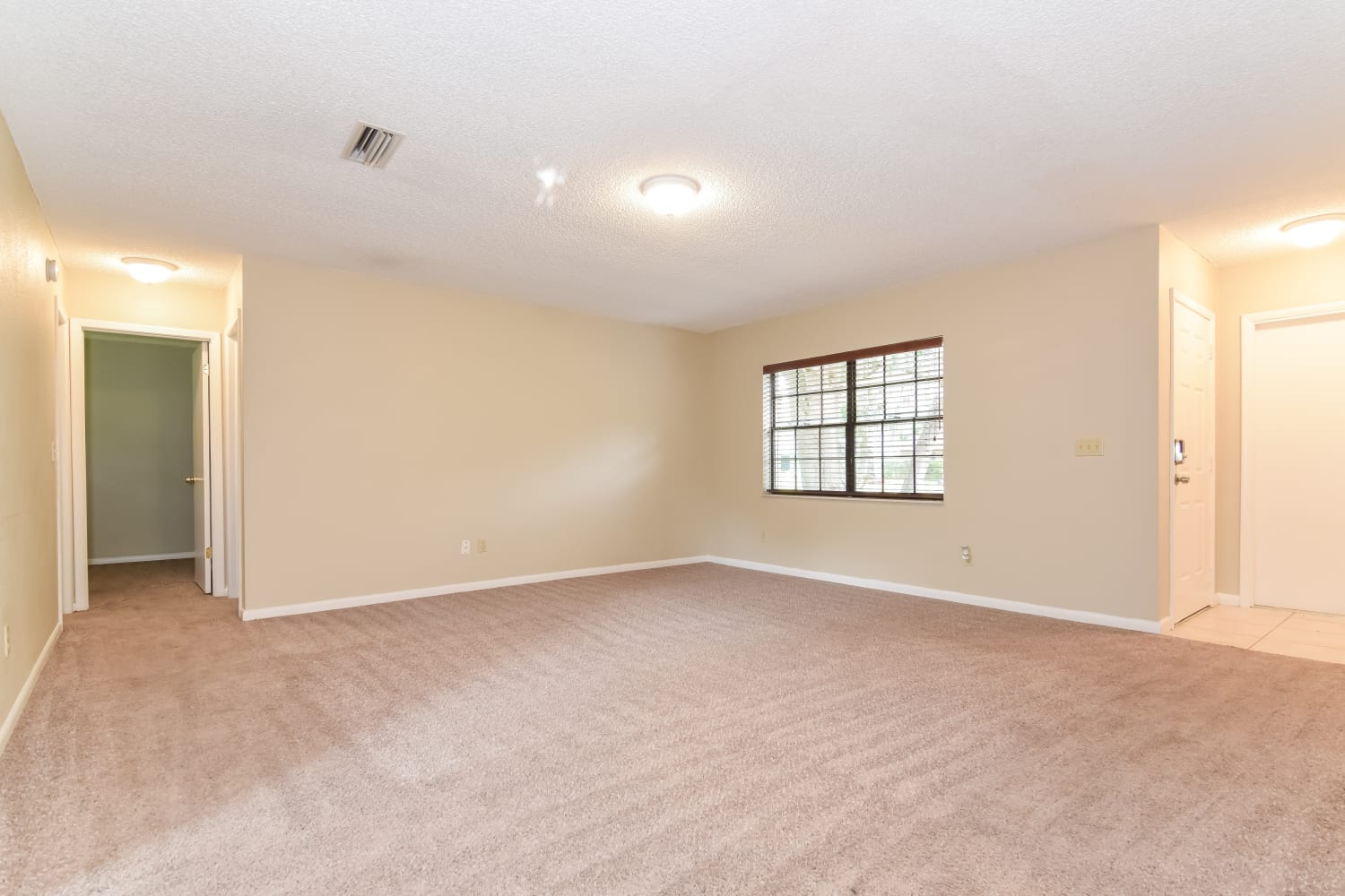 515 Wynnwood Dr photo 4