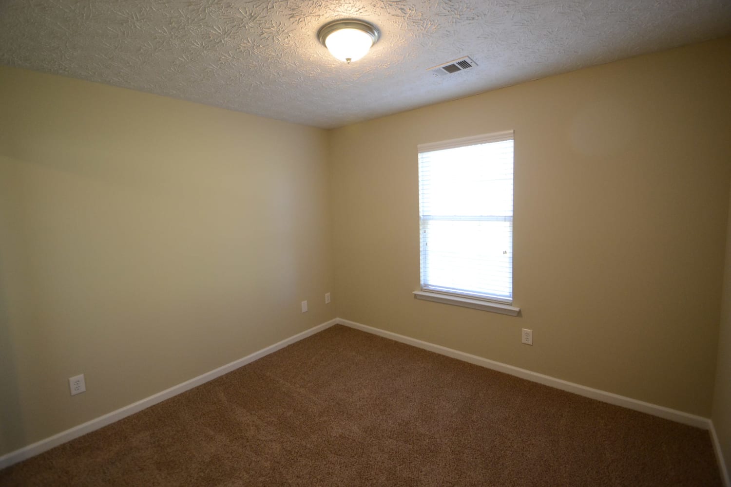 1243 Matt Moore Ct photo 2