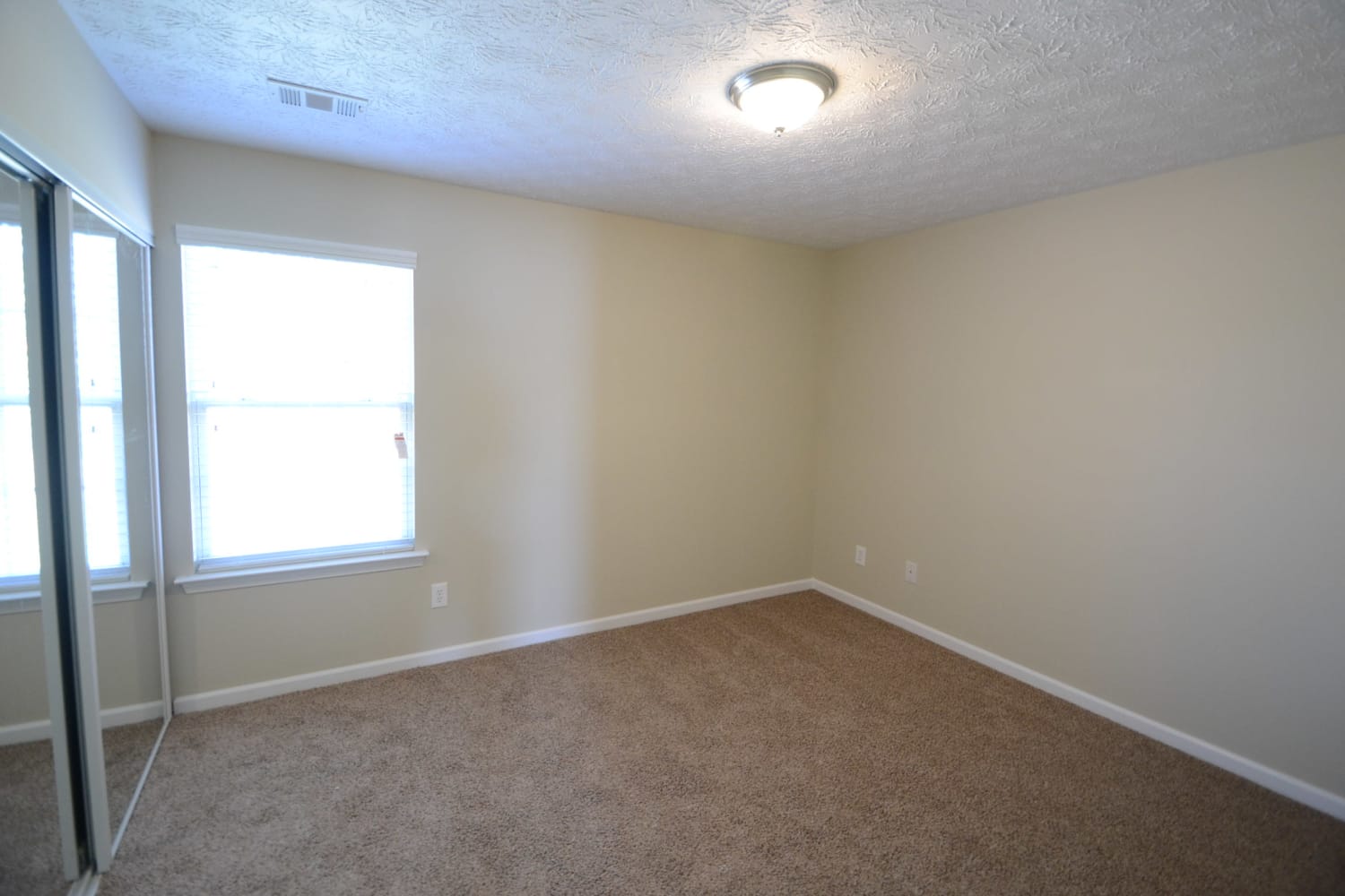 1243 Matt Moore Ct photo 3