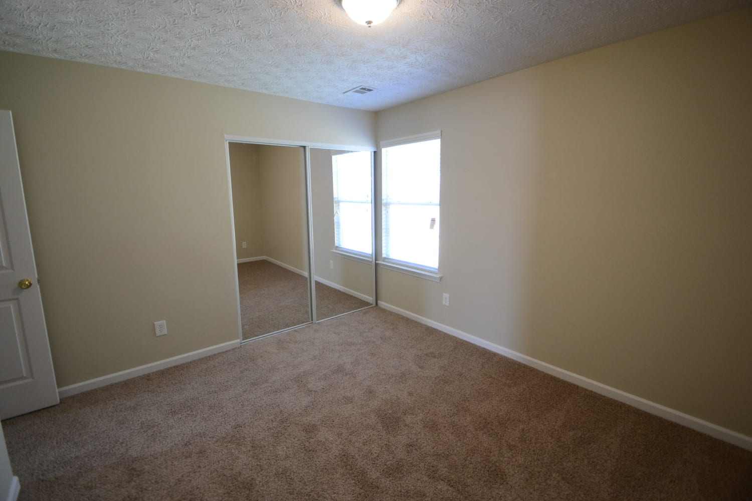 1243 Matt Moore Ct photo 4