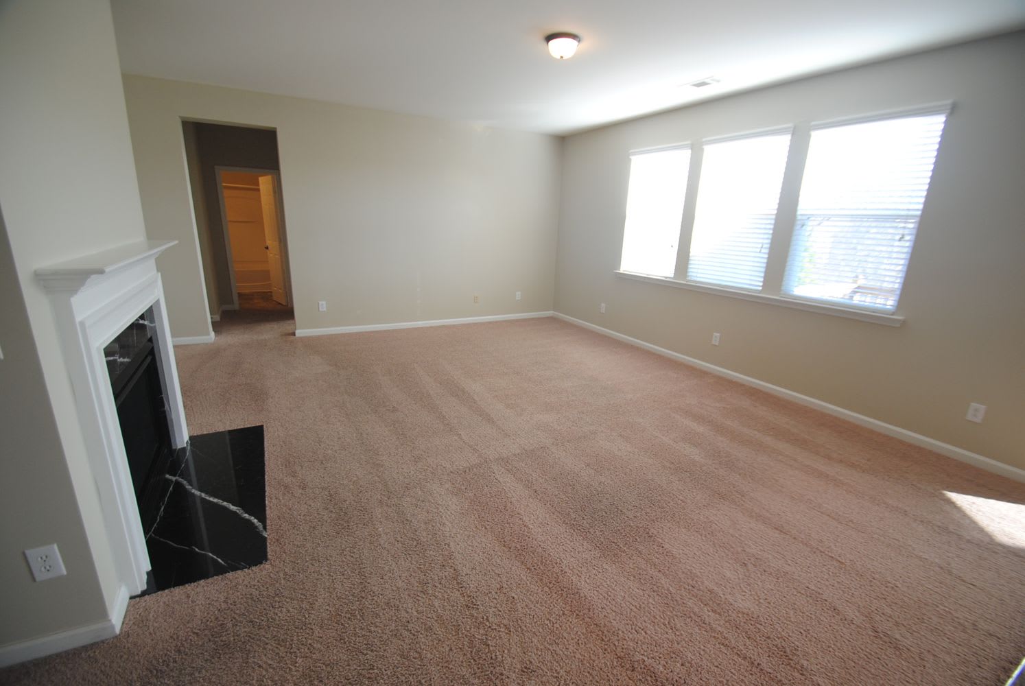 1208 Lanier Springs Dr photo 4