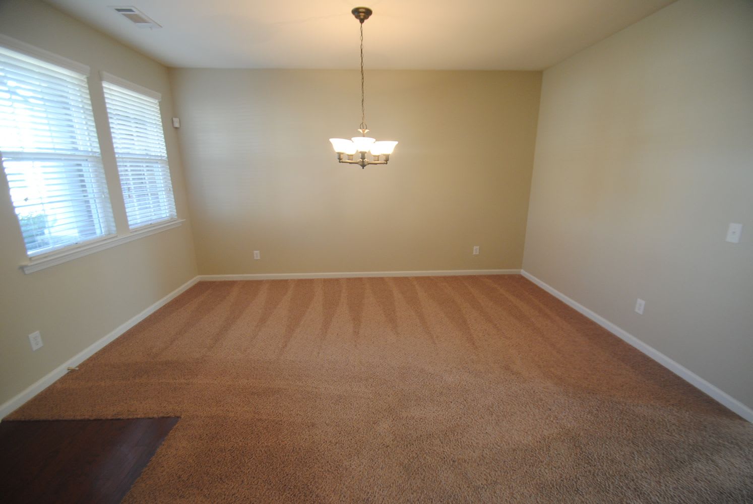 1208 Lanier Springs Dr photo 3