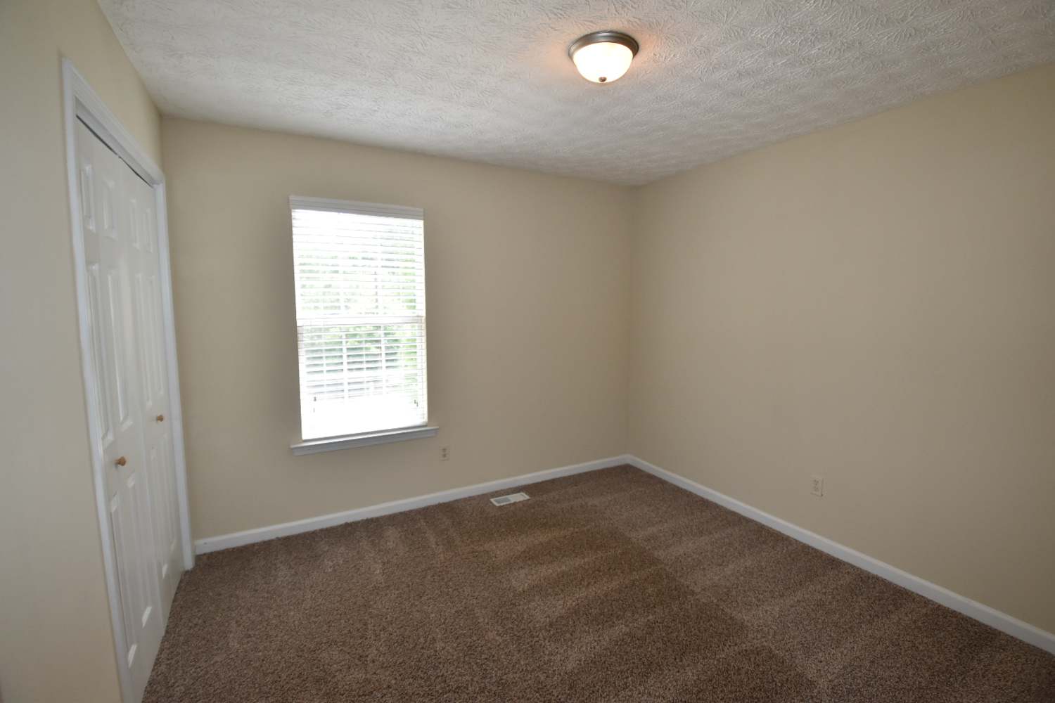259 Thornbrooke Dr photo 3