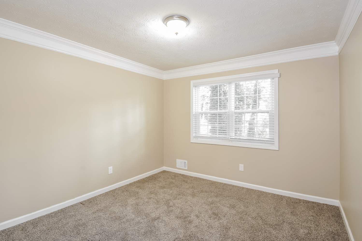 1545 Haynes Ct photo 3
