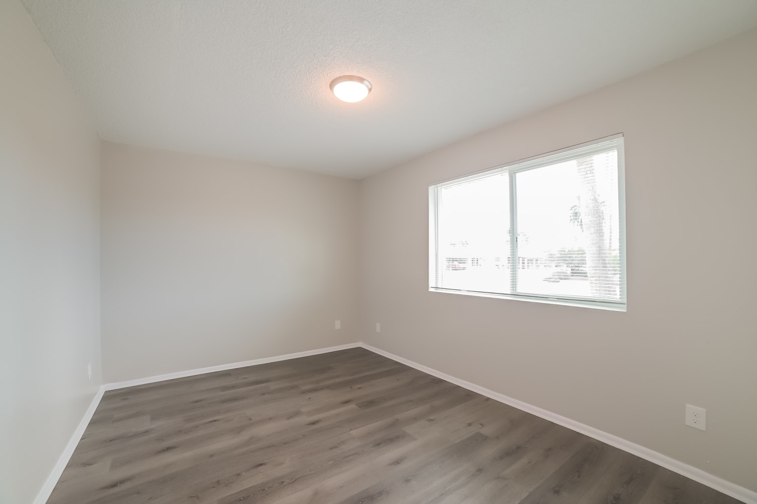 11447 N 43Rd Dr photo 3