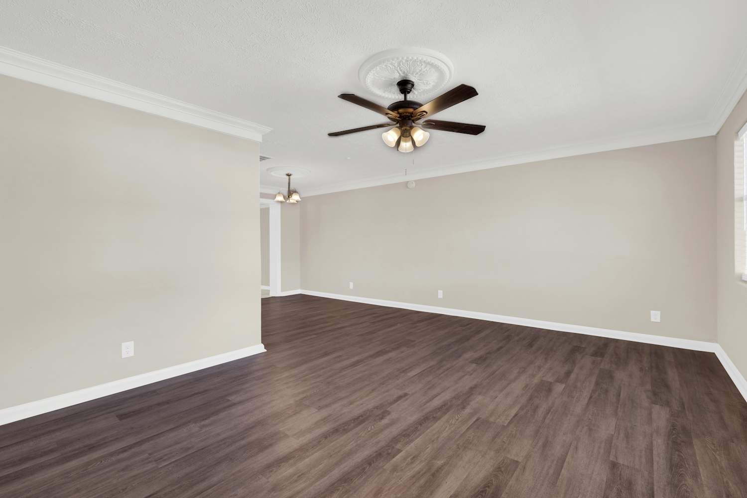 4836 Andromeda Rd photo 4