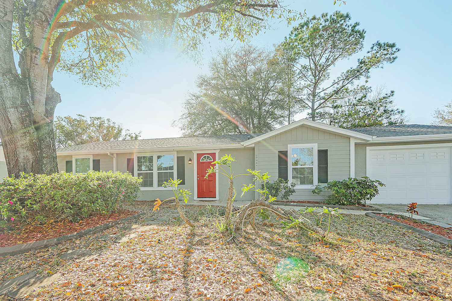 8033 Banister Ln photo 2