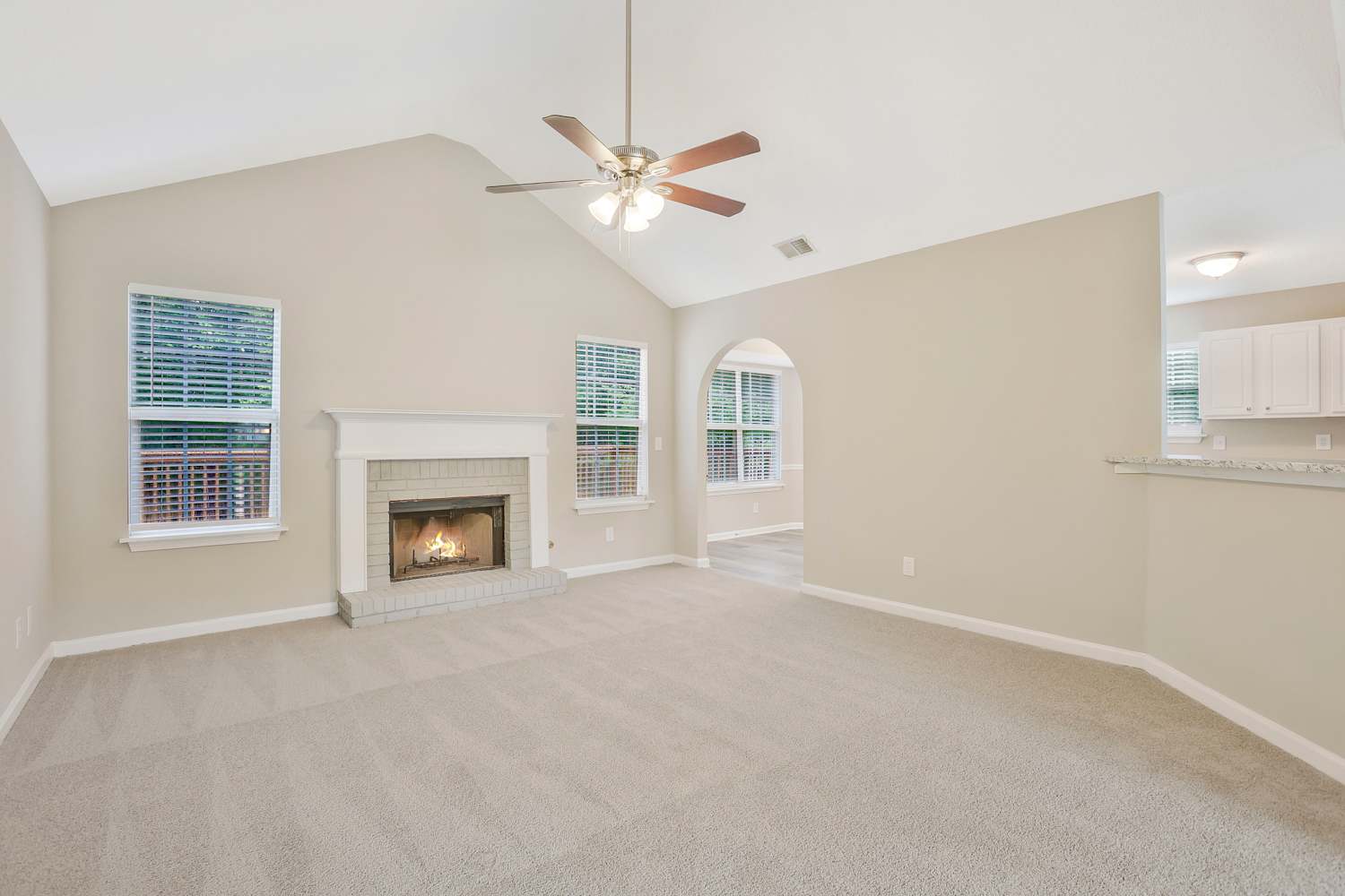 3150 Mosley Chase Dr photo 4
