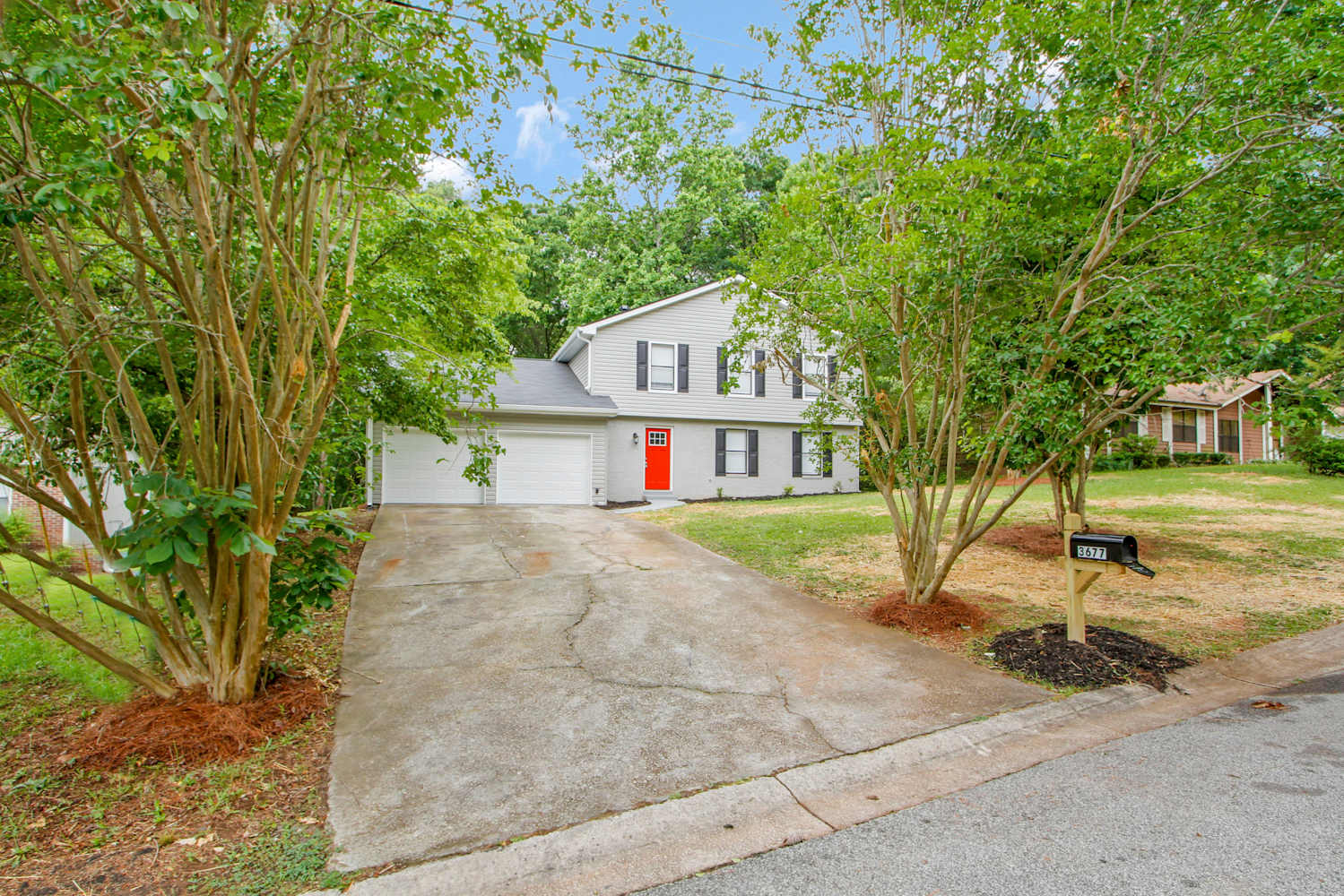 3677 Tarragon Dr photo 3