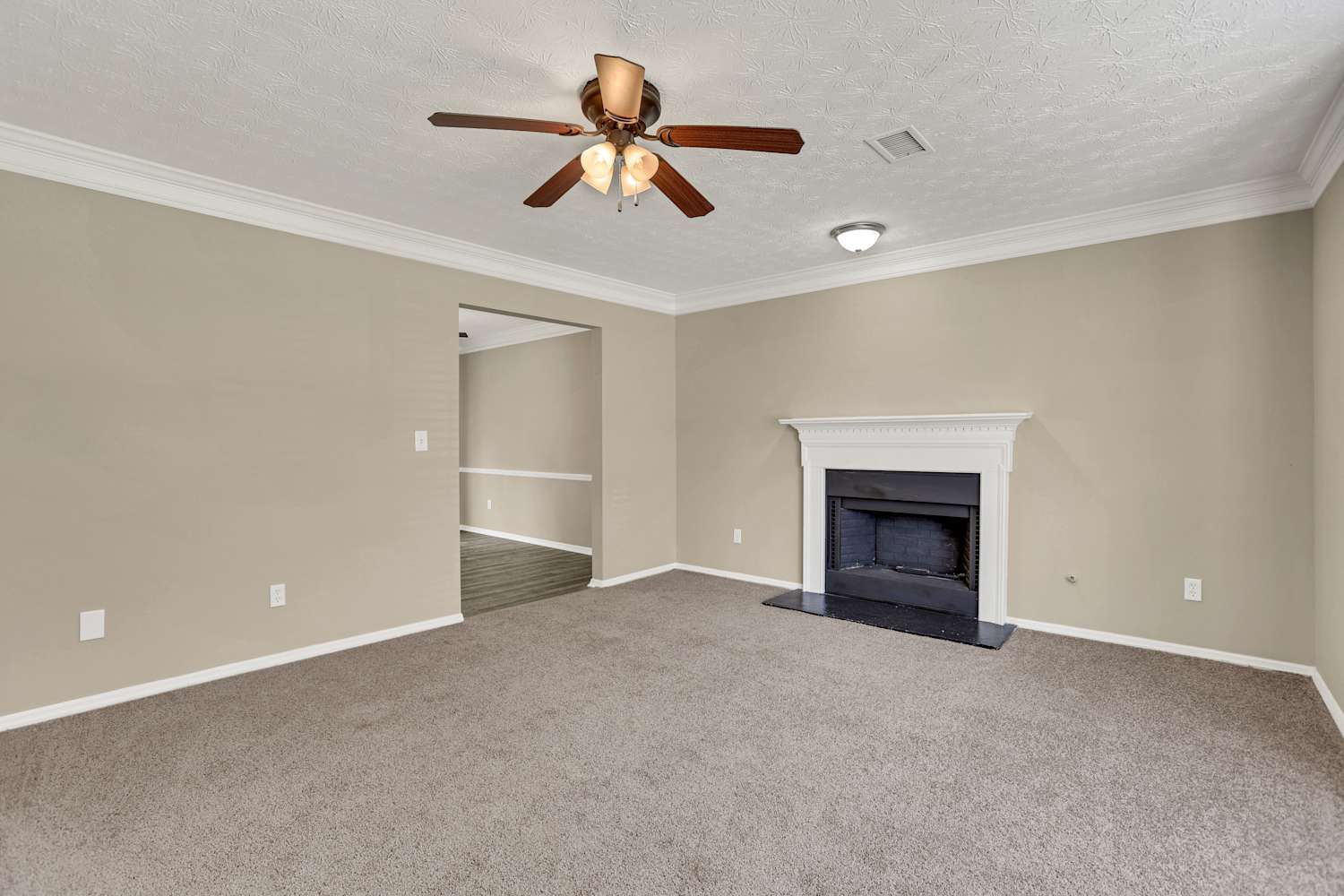 4927 Windsor Downs Ln photo 3