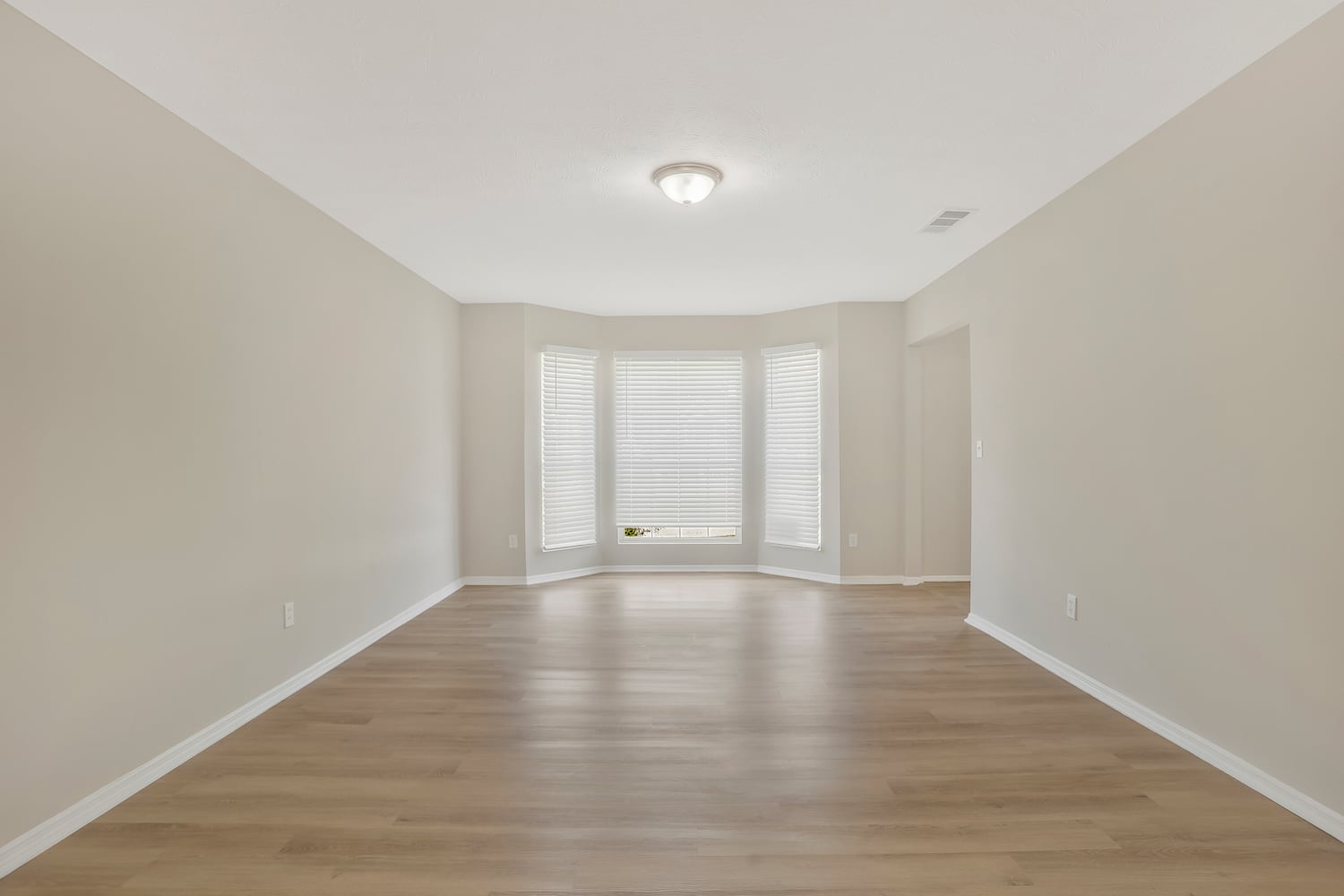 1141 Shady Creek Dr photo 4
