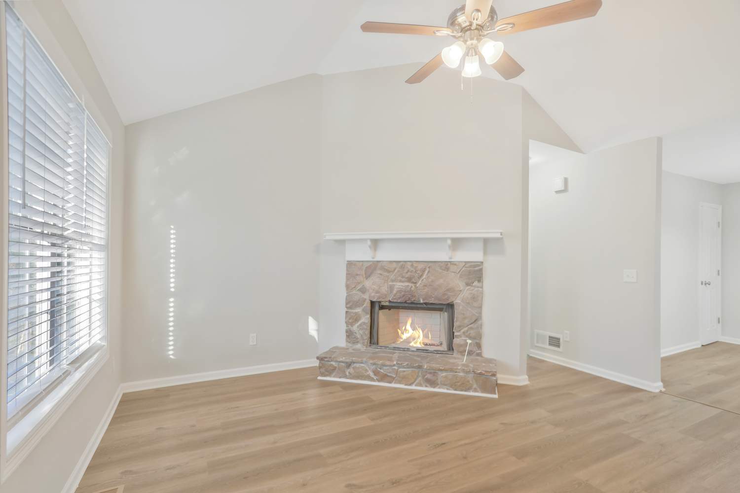 3335 Catalina Dr photo 4