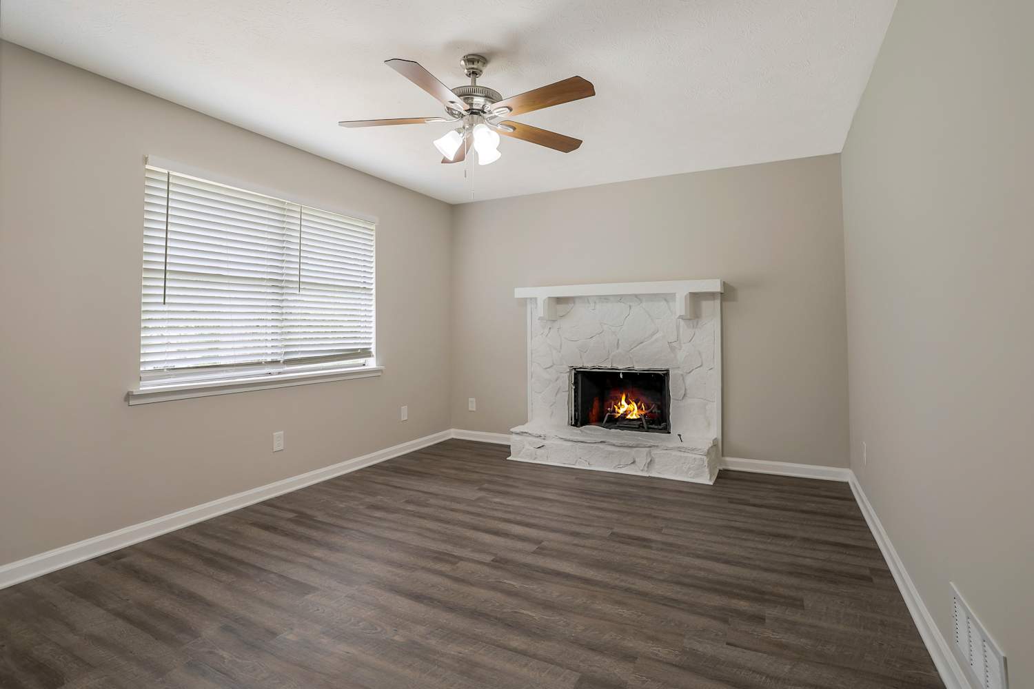 3868 Burnt Leaf Ln photo 4