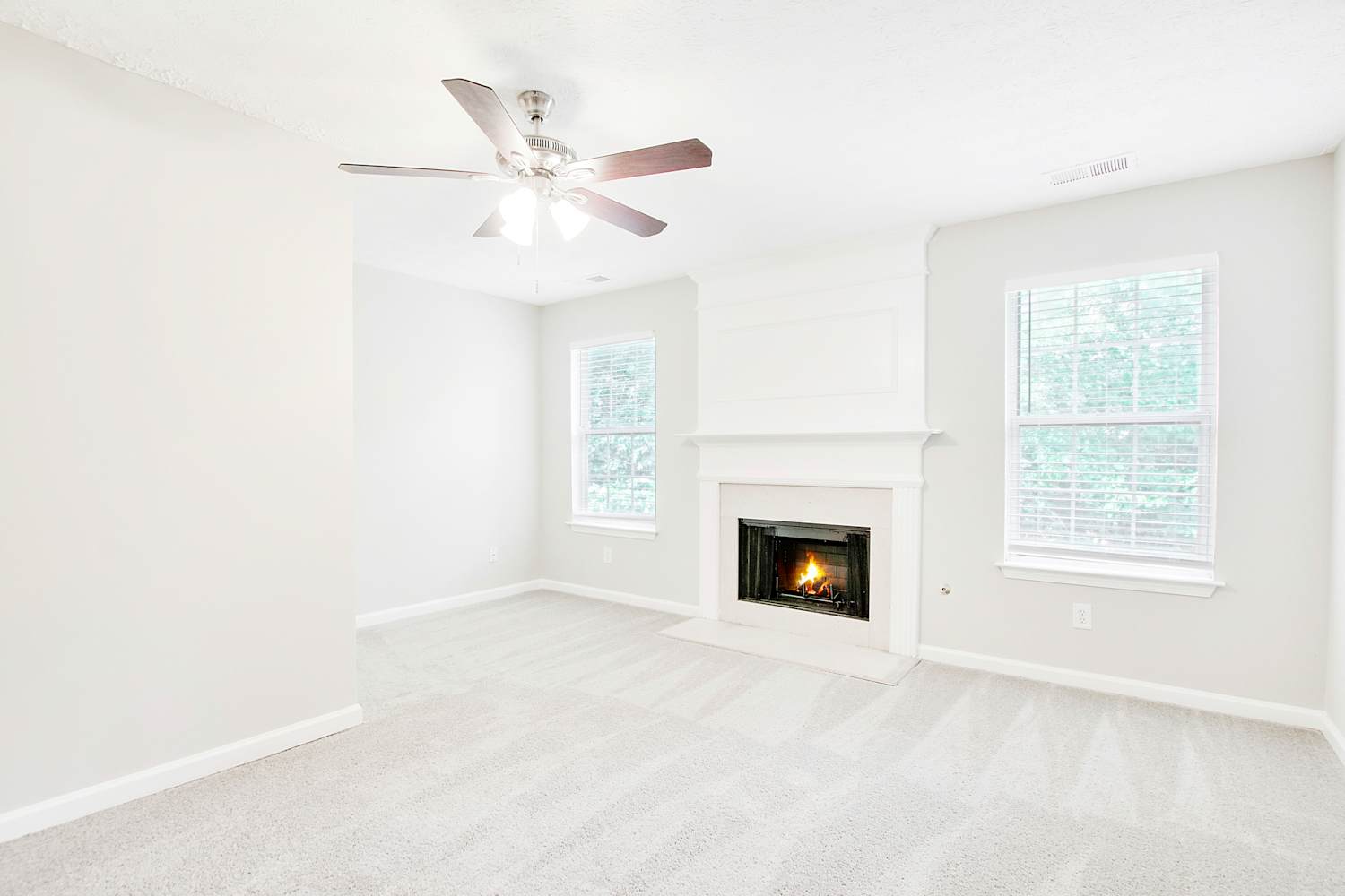 7116 Springchase Way photo 4