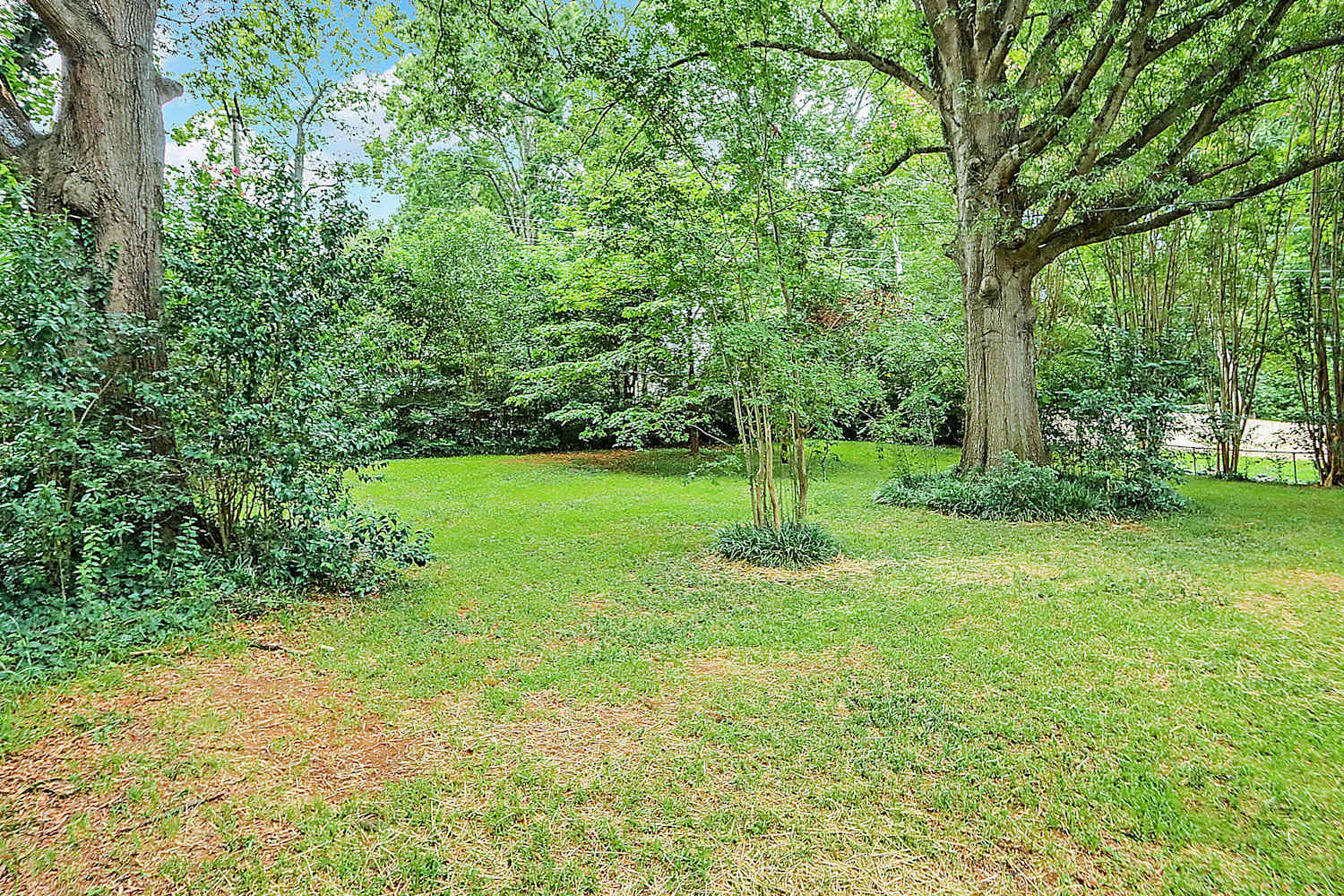 3521 Edsel Pl photo 4