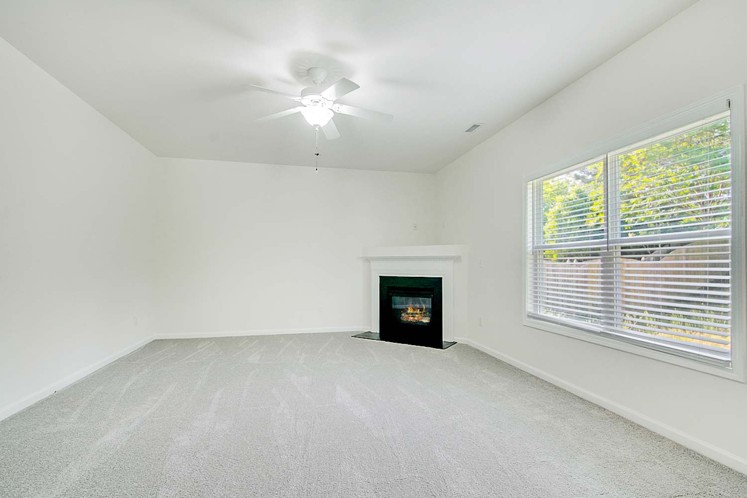 412 Stapleford Ln photo 2