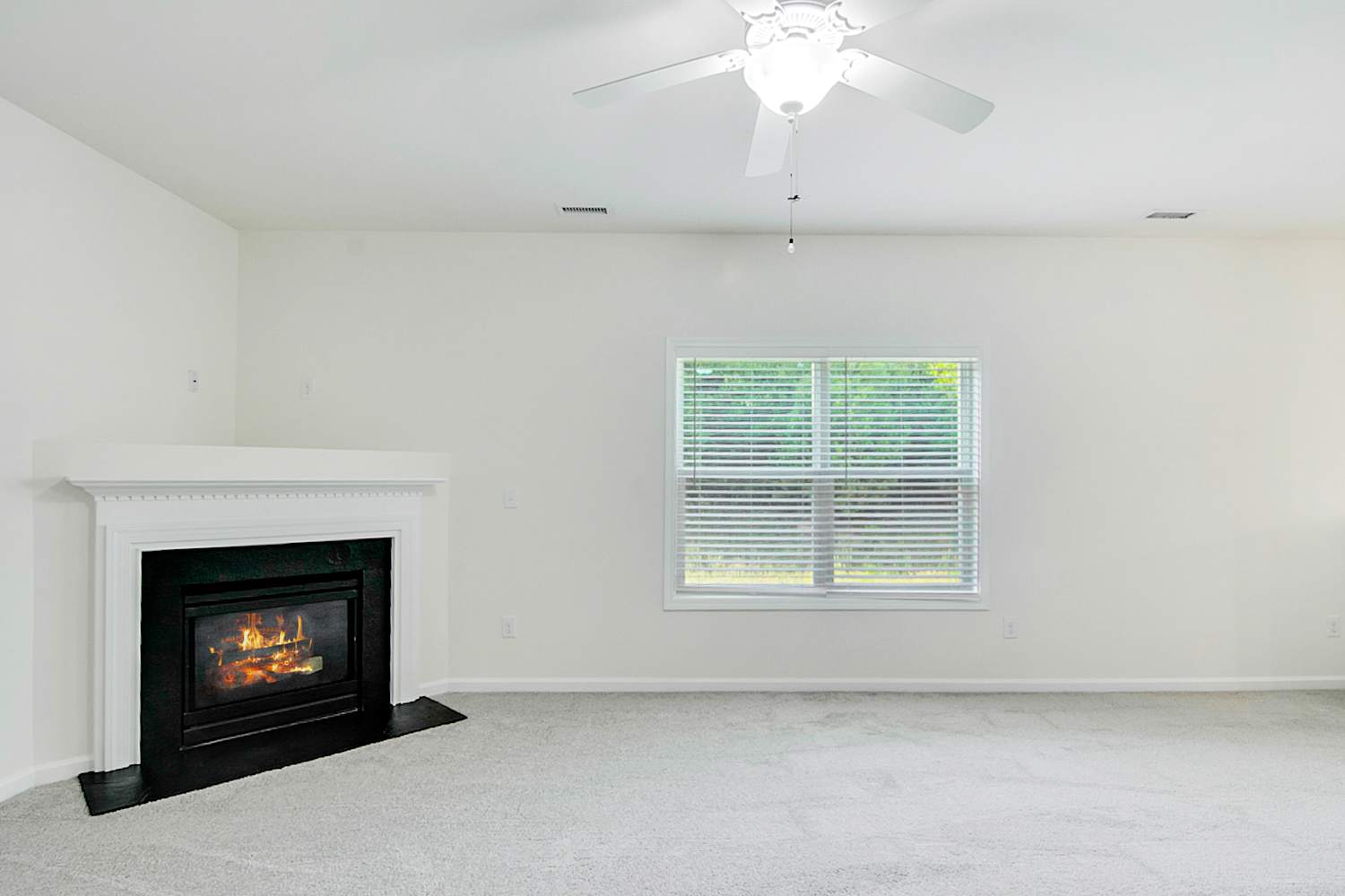 412 Stapleford Ln photo 3