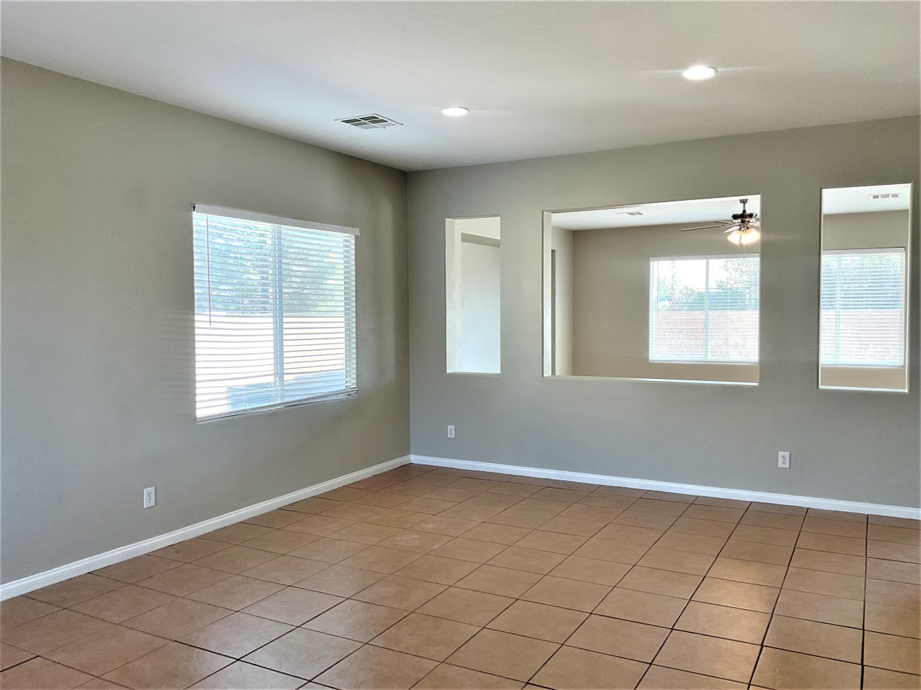 3786 Tundra Swan Street photo 3