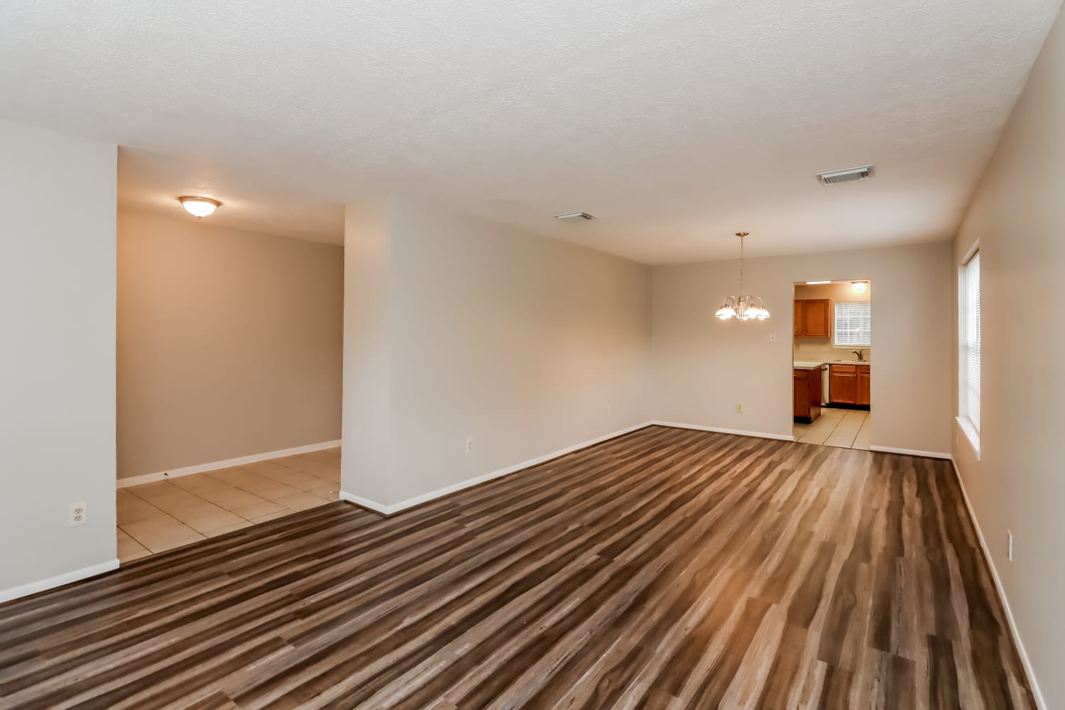 22230 Singleleaf Lane photo 5