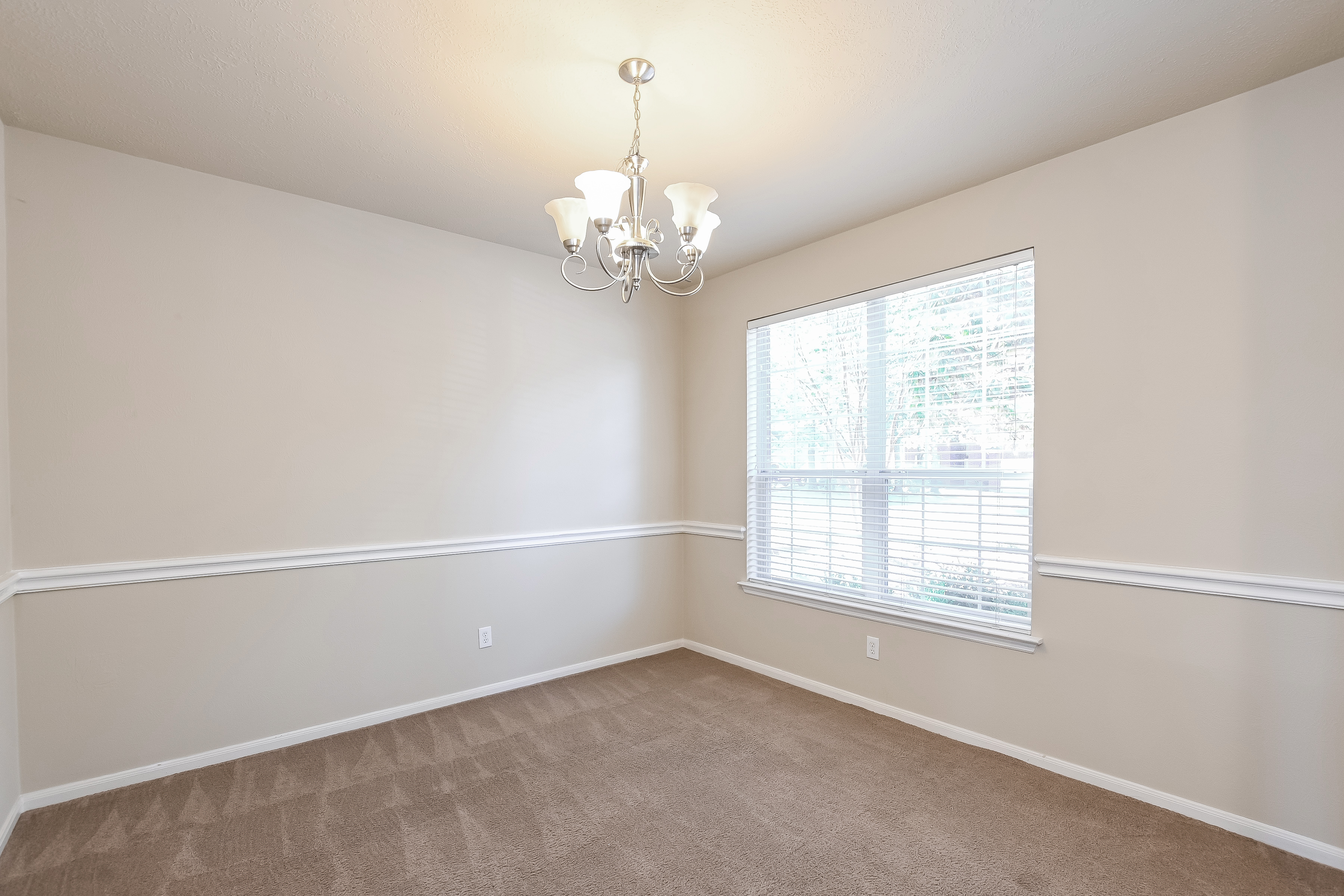 43 S Acacia Park Cir photo 4