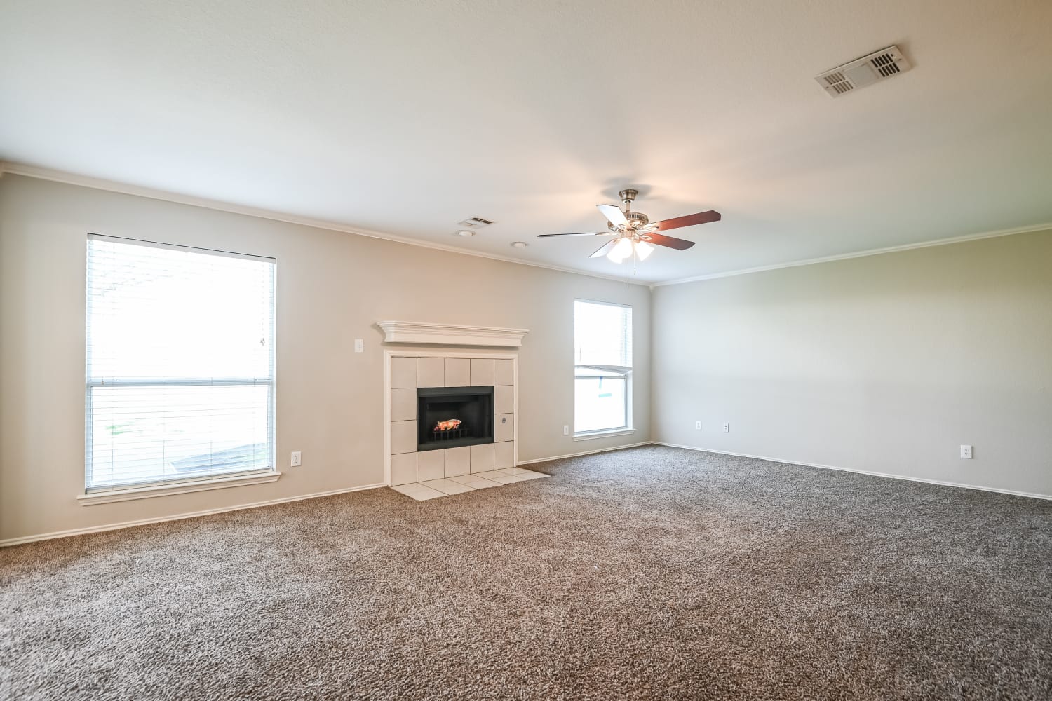 504 Colt Dr photo 4