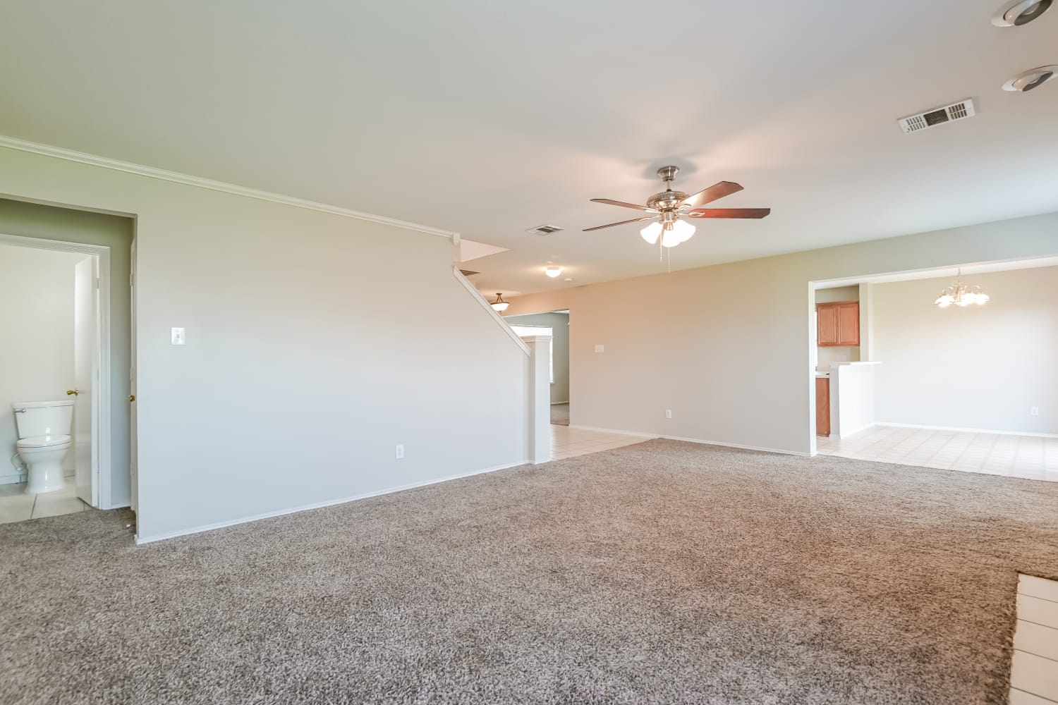 504 Colt Dr photo 5