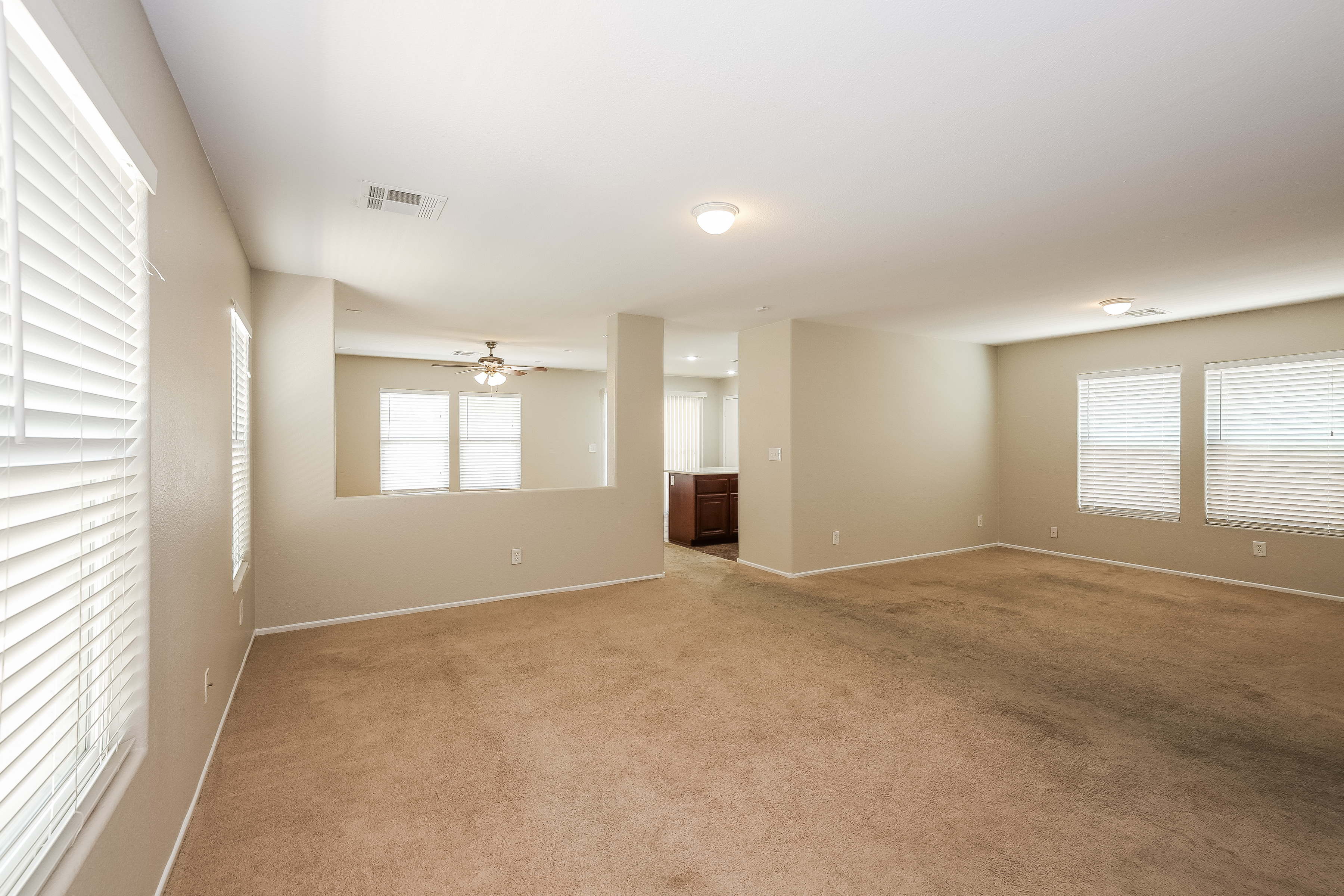 9029 Spirit Canyon Ave photo 3