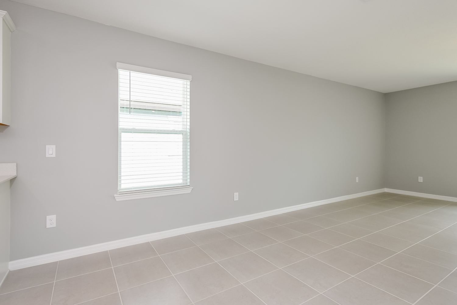 133 Royal Fern Dr photo 5
