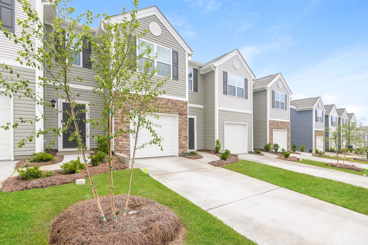 11834 Brier Village Ln photo 3