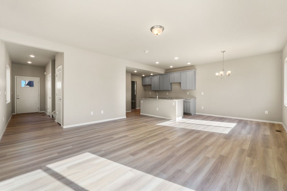 11441 Whistling Duck Wy photo 3