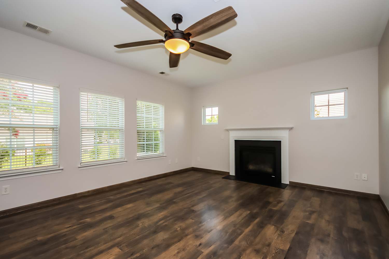 114 Lacona Trace photo 4
