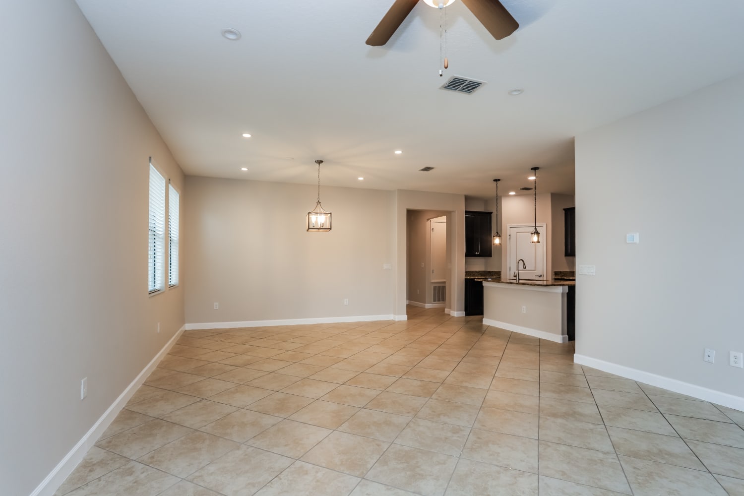 14071 Tropical Kingbird Way photo 3
