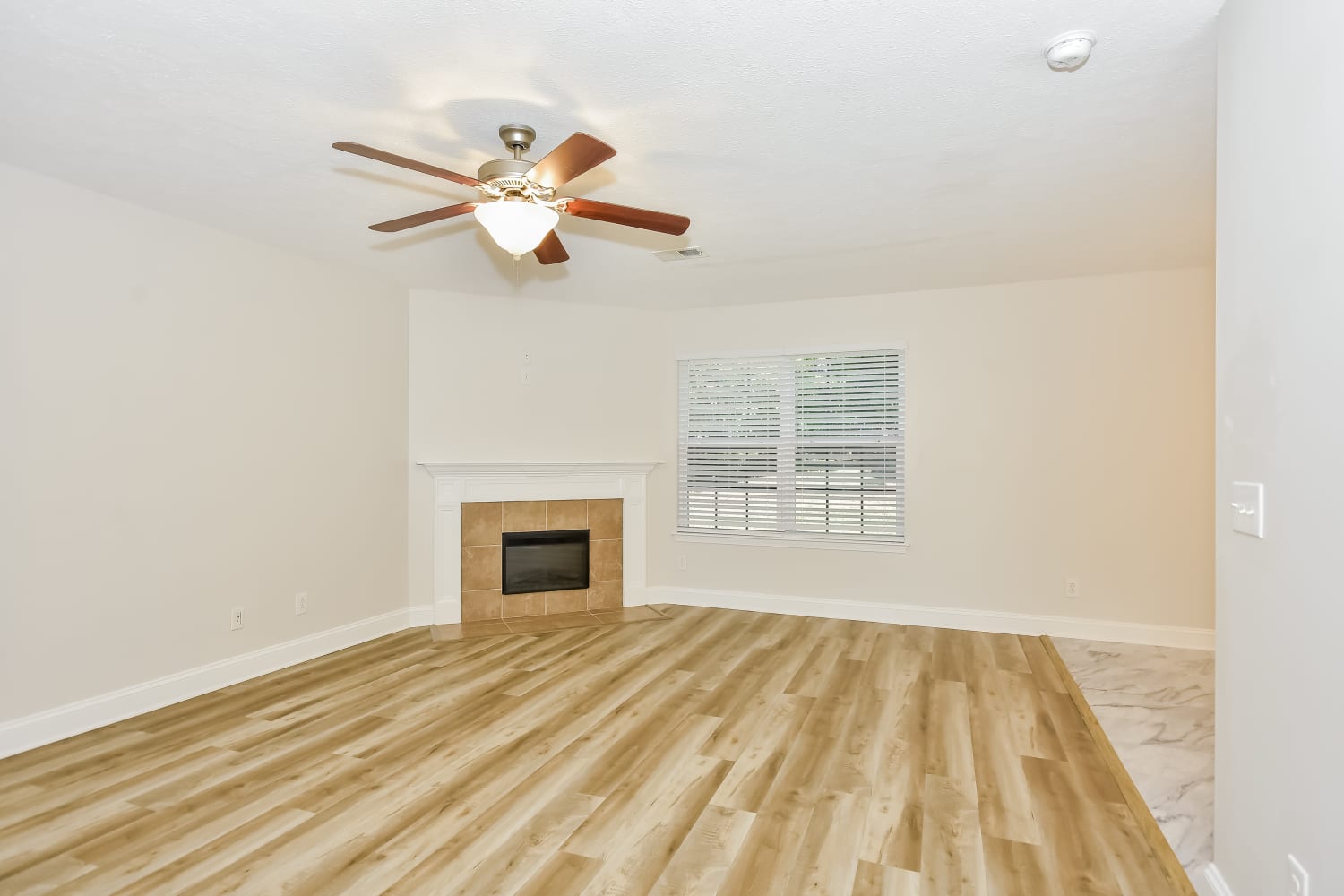 216 Dimaggio Dr photo 5