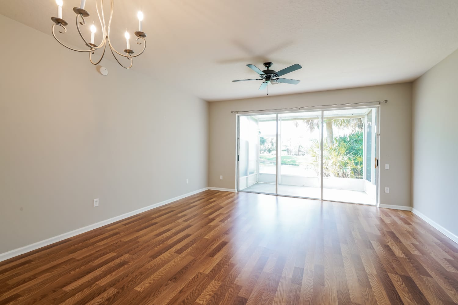 26648 Castleview Way photo 3