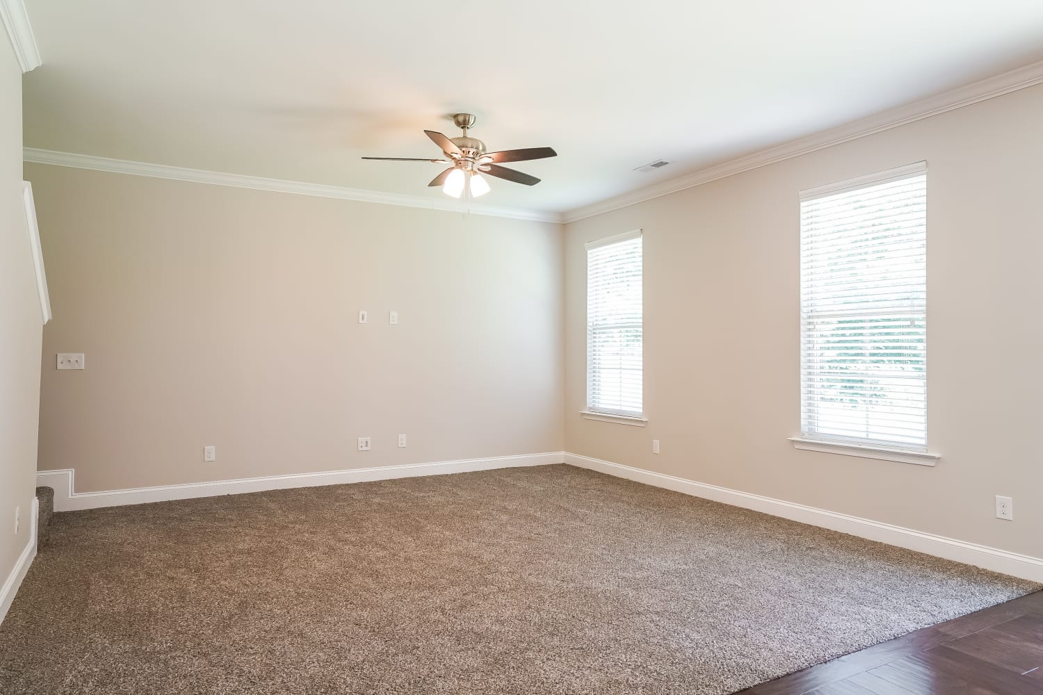 1316 Lowenstein St photo 4