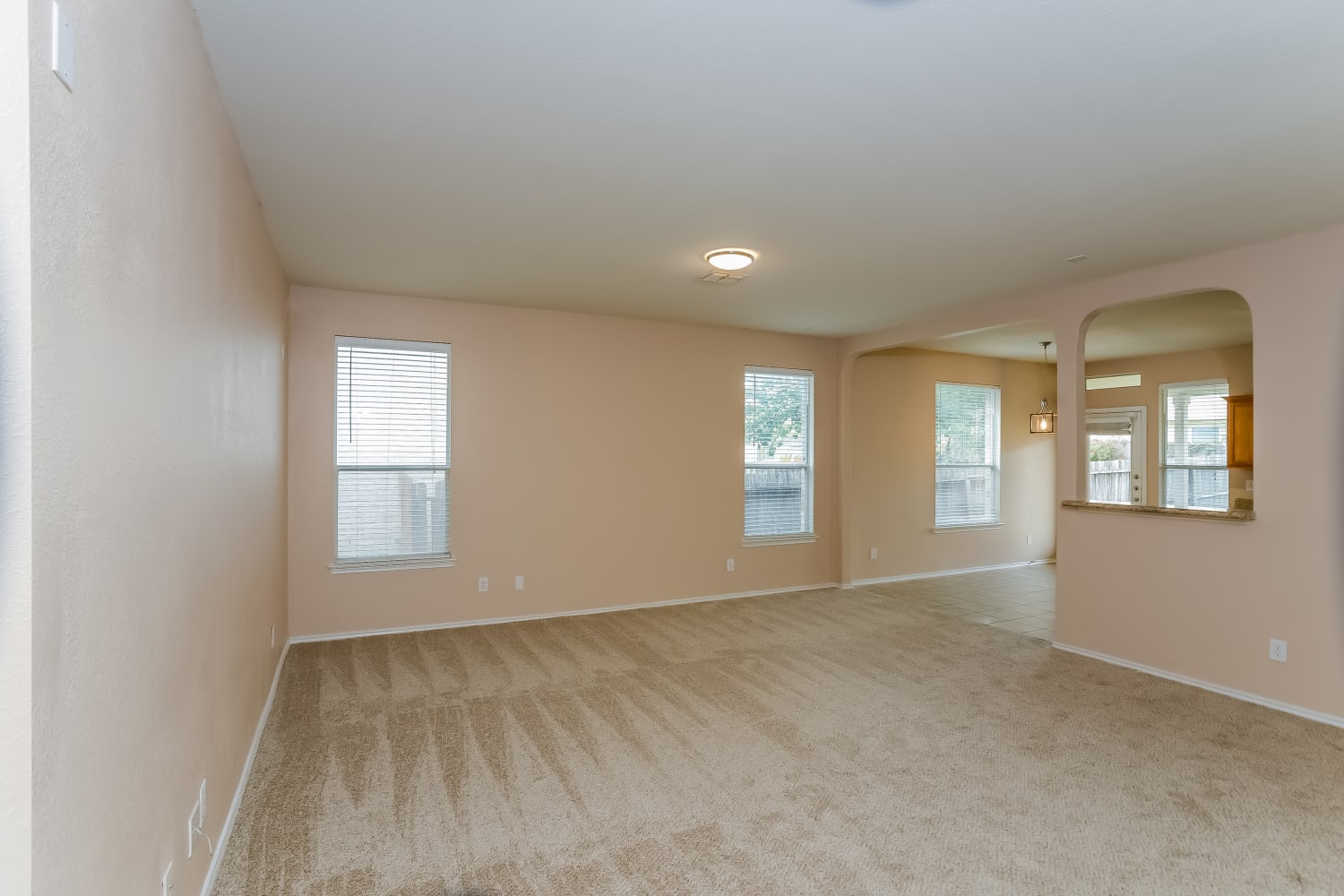 6119 Briscoe Leaf photo 3