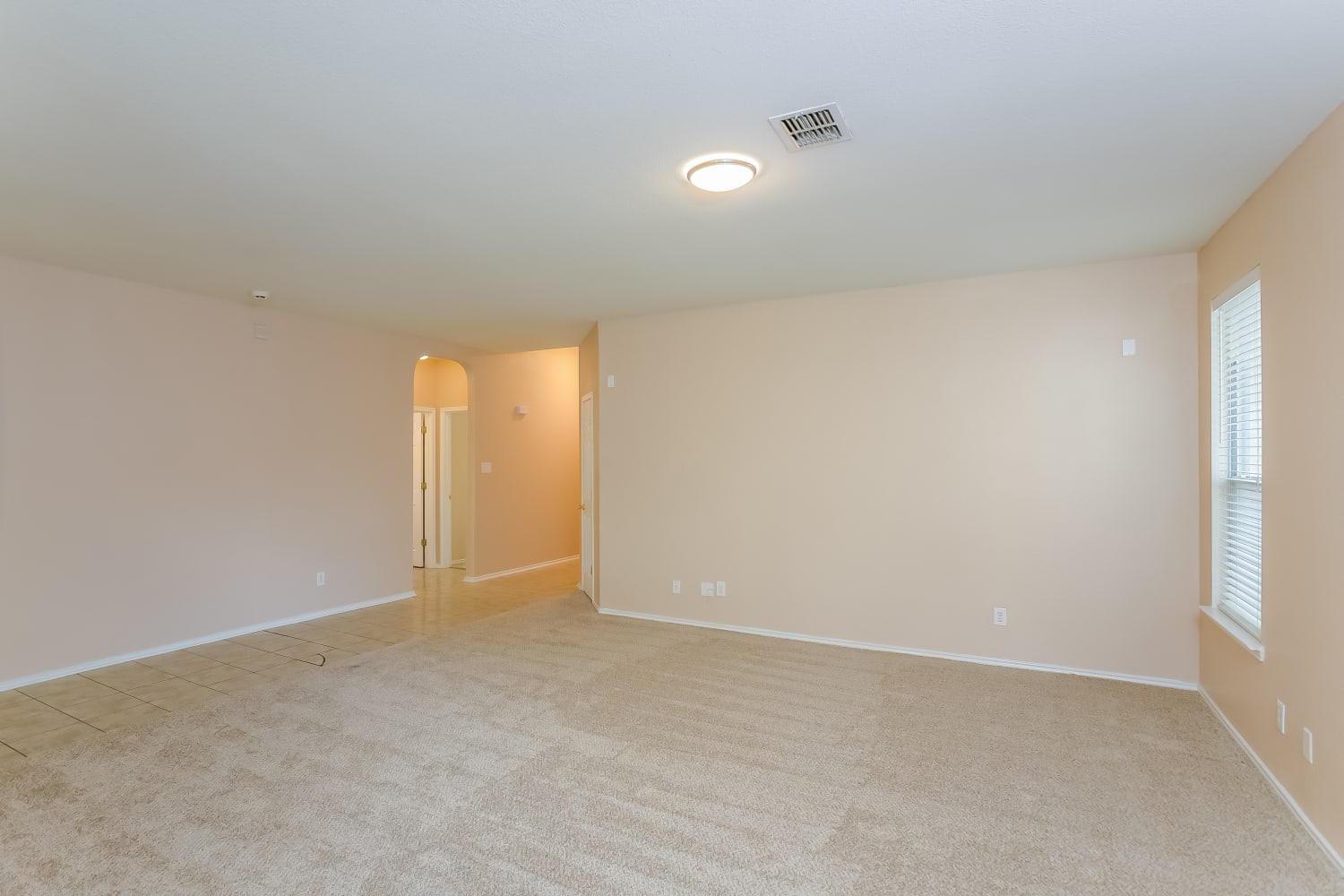 6119 Briscoe Leaf photo 2