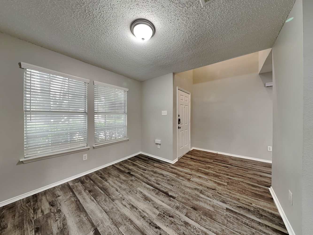 1013 Manassas Dr photo 5