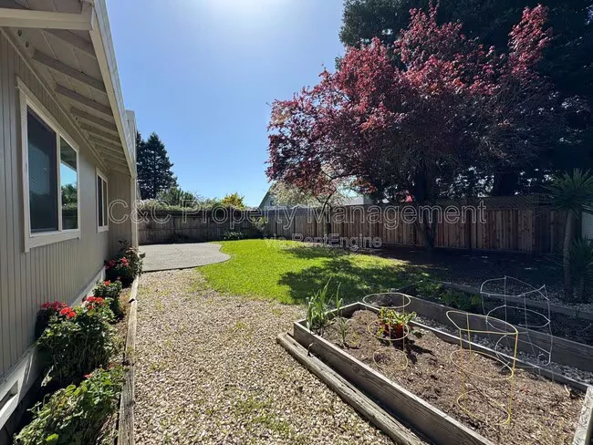 1663 Calle Ranchero Dr Petaluma, CA 94954 photo 4