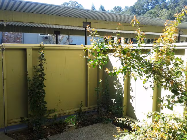 Vanguard Apartments photo 4