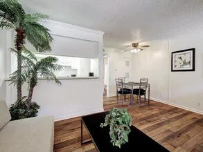 4553 Guadalupe St Austin, TX 78751 photo 5
