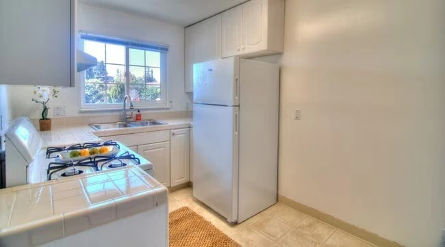 505 Columbia Ave Sunnyvale, CA 94085 photo 3