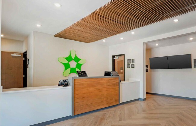 Furnished Studio-Kyle photo 3